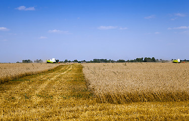 Image showing harvesting  