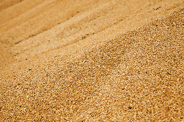 Image showing wheat grains  