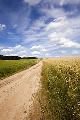Image showing the rural road 