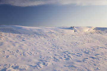 Image showing snow-covered field  