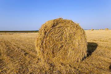 Image showing straw stack  