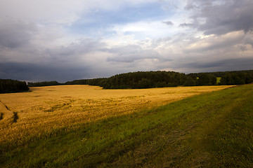 Image showing cloudy weather  