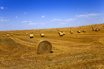 Image showing straw stack 