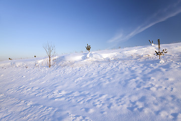 Image showing snow-covered field  