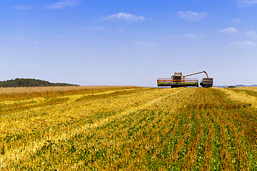 Image showing harvesting  