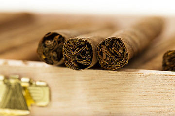 Image showing cigars  