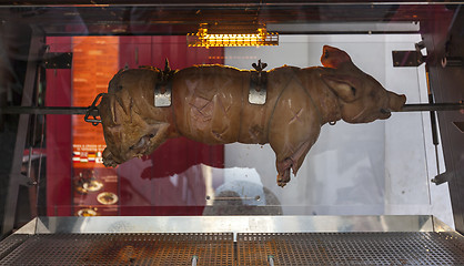 Image showing Roasted pig on the rack 