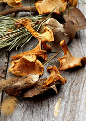 Image showing Dried Mushrooms