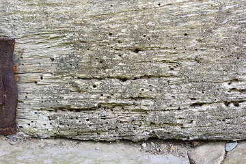 Image showing attack of xylophagous insects on old wood