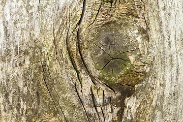 Image showing knot on ancient wood surface 