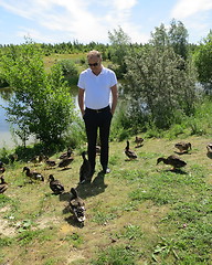 Image showing Man with ducks