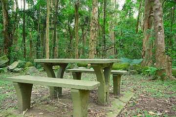 Image showing Picnic place in forest