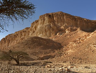 Image showing Acacia trees at the bottom of the desert hill at sunset