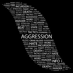 Image showing AGGRESSION.