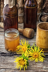 Image showing Elecampane tincture