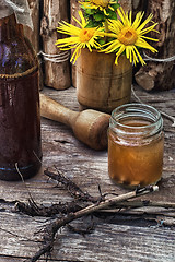 Image showing Elecampane tincture