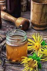 Image showing Elecampane tincture