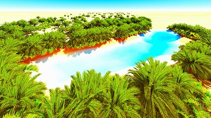 Image showing African oasis