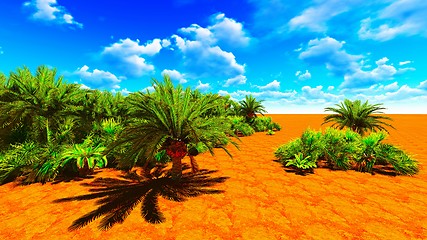 Image showing African oasis