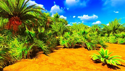 Image showing African oasis