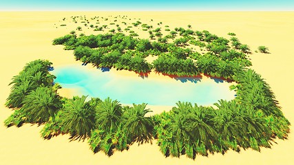 Image showing African oasis