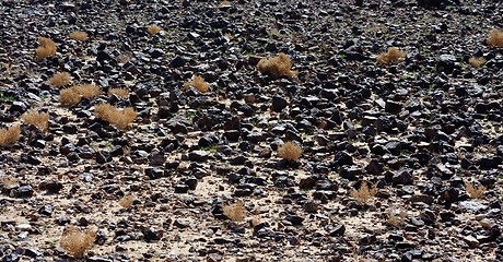 Image showing Black stone field in the desert