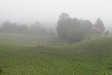 Image showing Rural landscape with fog in the morning