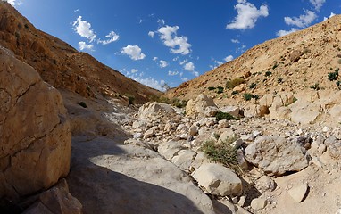 Image showing Desert canyon