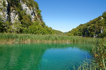 Image showing Pond bank landscape in bright summer day in Plitvice, Croatia