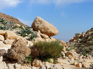 Image showing Yellow rock on the hill slope in desert in spring