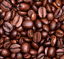 Image showing Roasted coffee beans 