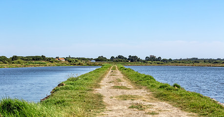 Image showing Summer Landscape with Lake and Road