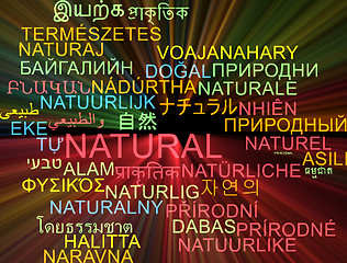Image showing Natural multilanguage wordcloud background concept glowing