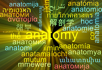 Image showing Anatomy multilanguage wordcloud background concept glowing