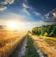 Image showing Wheat near country road