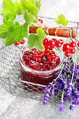 Image showing redcurrant jam