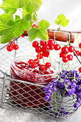 Image showing redcurrant jam