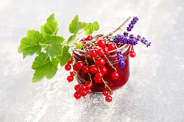 Image showing redcurrant jam