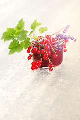 Image showing redcurrant jam