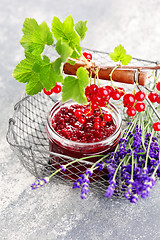 Image showing redcurrant jam