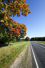 Image showing roadside road in autumn  