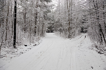 Image showing the winter road  