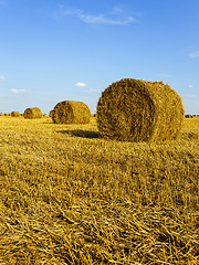 Image showing straw stack  