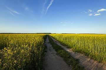 Image showing the road to a field 