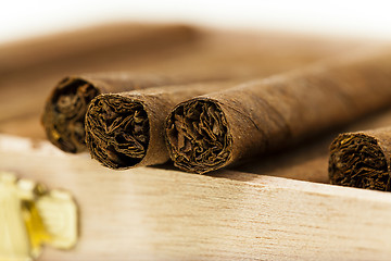 Image showing cigars 