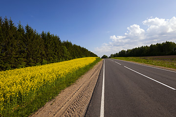 Image showing the asphalted road 