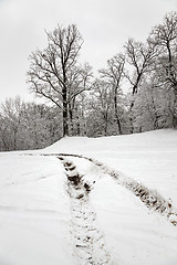 Image showing the winter road 