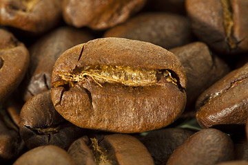 Image showing coffee grain  