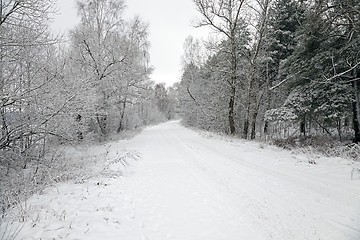 Image showing the winter road  