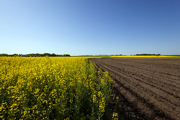 Image showing agriculture  